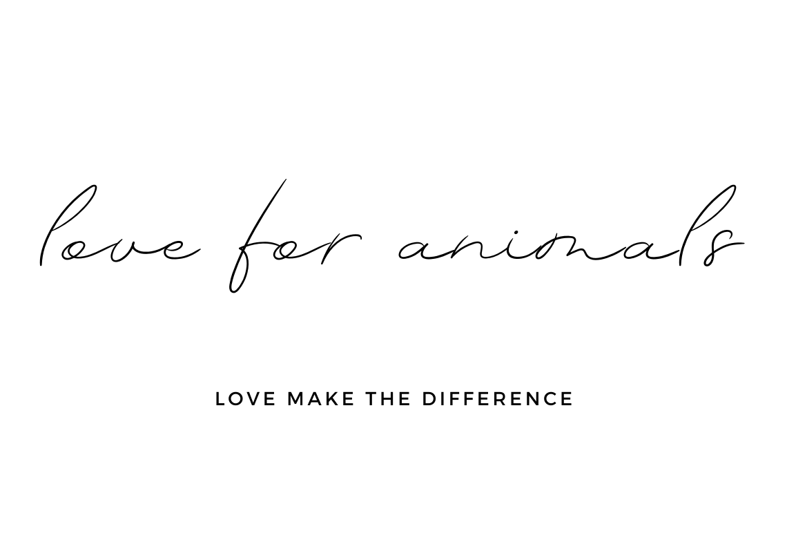 Love For Animals